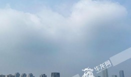 重庆大雨网最新爆料,暴雨来袭，城市应对挑战纪实